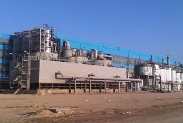 Sugar Mill Industry