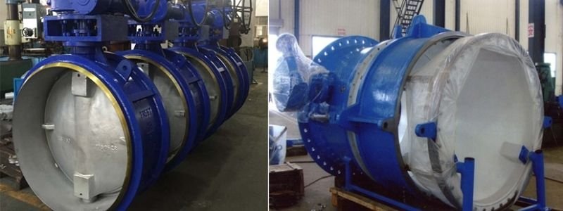 Butterfly Valve  Casting Manufacturer in Indfa